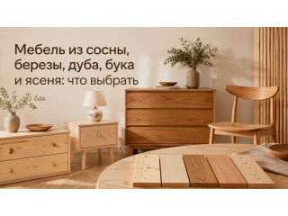 Мебель из сосны, березы, дуба, бука и ясеня: что выбрать